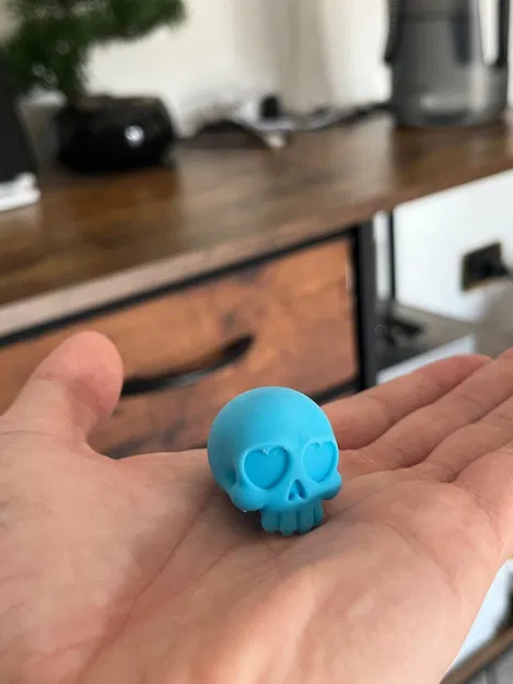 Hộp Sọ Nhỏ Xinh - Image 2