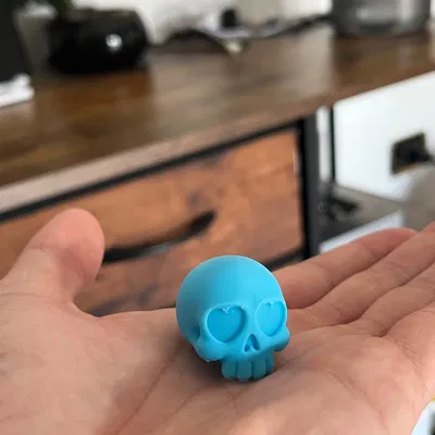 Hộp Sọ Nhỏ Xinh