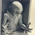 Kệ Sách 3D Xenomorph Alien - Thumbnail 2
