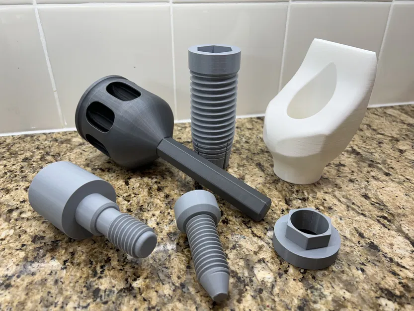 Mô hình ví dụ Implant Nha khoa Cỡ lớn với Nhiều Bộ phận - Image 4