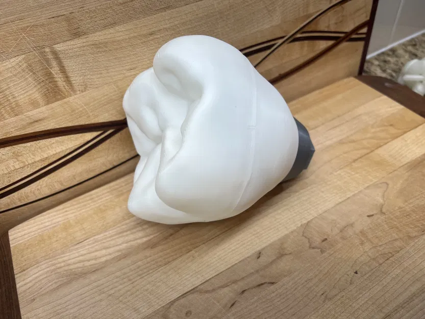 Mô hình ví dụ Implant Nha khoa Cỡ lớn với Nhiều Bộ phận - Image 13