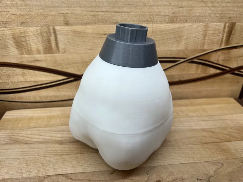 Mô hình ví dụ Implant Nha khoa Cỡ lớn với Nhiều Bộ phận - Image 15