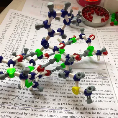 Mô hình phân tử cho gấp protein