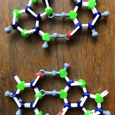 Mô hình phân tử cho gấp protein