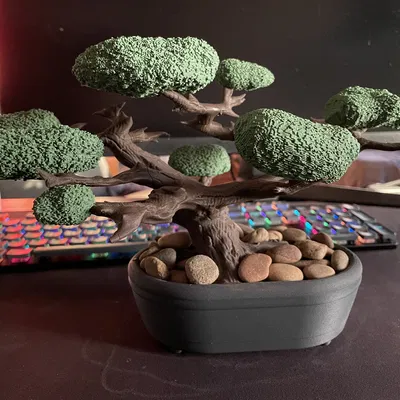 Cây Bonsai (Kệ Trang Sức)