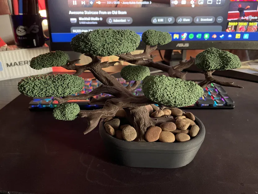 Cây Bonsai (Kệ Trang Sức) - Image 2