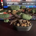 Cây Bonsai (Kệ Trang Sức) - Thumbnail 2