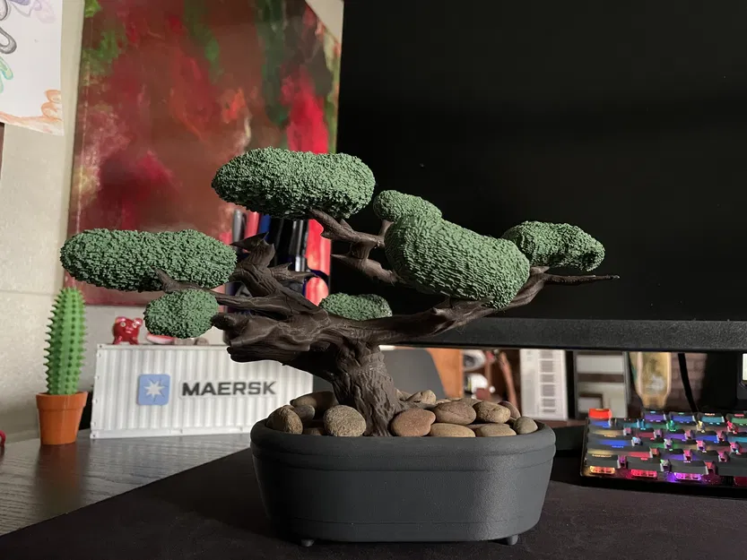 Cây Bonsai (Kệ Trang Sức) - Image 3