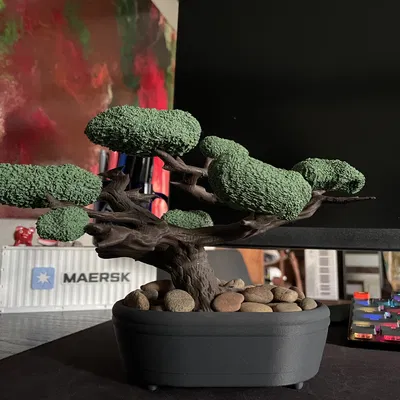 Cây Bonsai (Kệ Trang Sức)