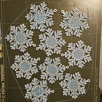 Mẫu Thử Infill Hình Bông Tuyết