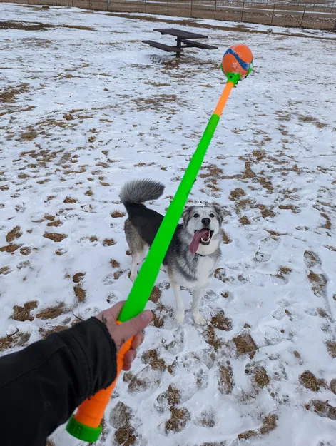 Máy Phóng Banh Tennis Xếp Gọn - Image 1