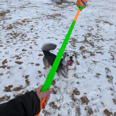 Máy Phóng Banh Tennis Xếp Gọn