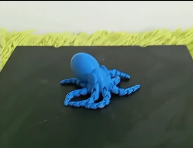 Bạch Tuộc Mini Thực Tế - Image 1