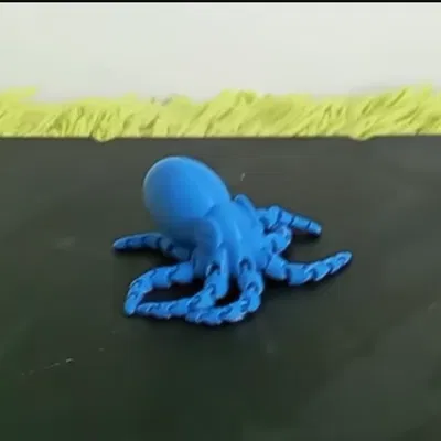 Bạch Tuộc Mini Thực Tế