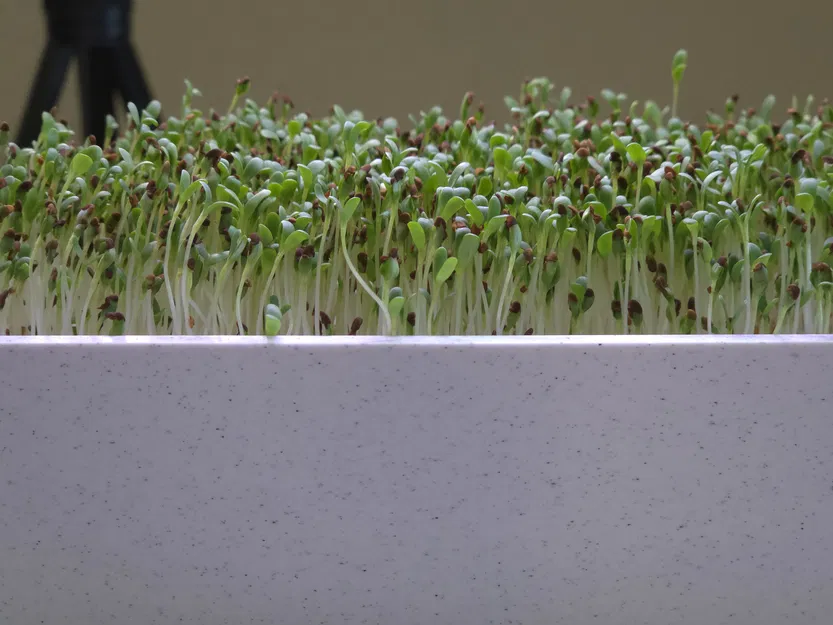 Hệ thống trồng cây trong nhà Smart Sprouts / Rau xanh - Image 2