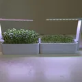Hệ thống trồng cây trong nhà Smart Sprouts / Rau xanh - Thumbnail 4