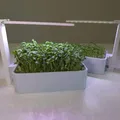 Hệ thống trồng cây trong nhà Smart Sprouts / Rau xanh - Thumbnail 8