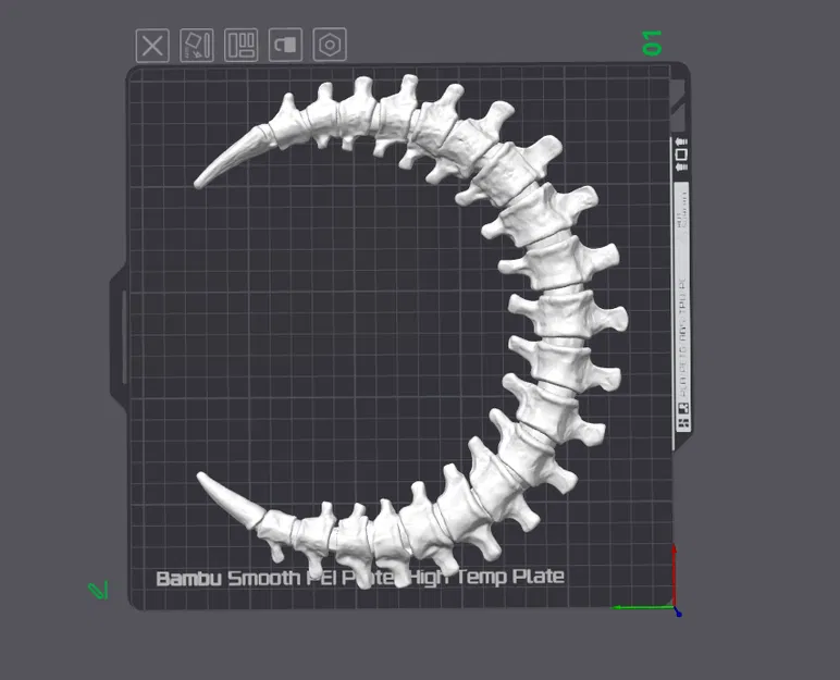 Trang Trí Tường Trăng Lưỡi Liềm Xương Sống - In 2 Giờ - Image 3