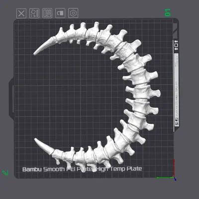 Trang Trí Tường Trăng Lưỡi Liềm Xương Sống - In 2 Giờ