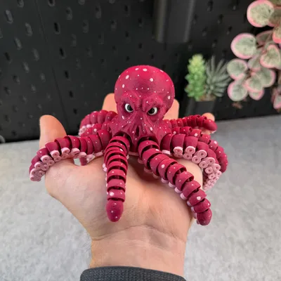 Bạch Tuộc Khớp Nối Articulated Octopus
