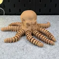 Bạch Tuộc Khớp Nối Articulated Octopus - Thumbnail 14