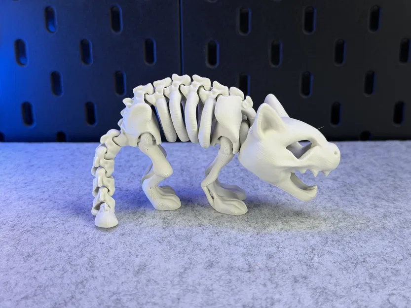 Mèo Bộ Xương Khớp Nối - Image 1