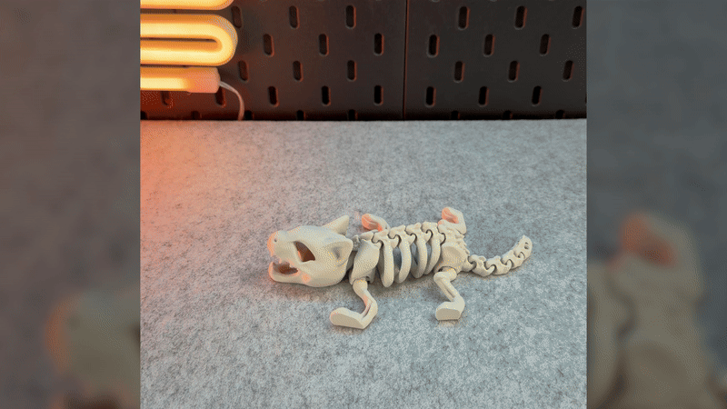 Mèo Bộ Xương Khớp Nối