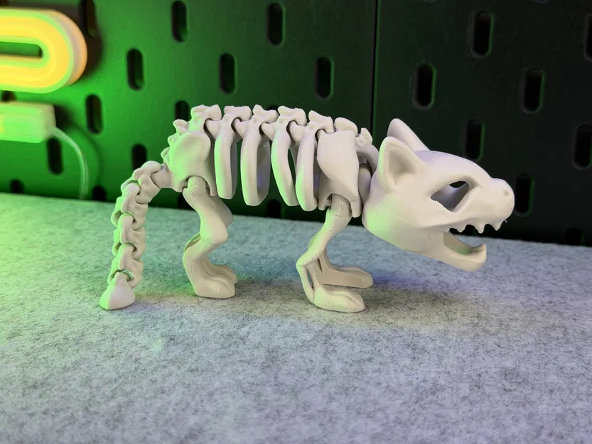 Mèo Bộ Xương Khớp Nối - Image 3