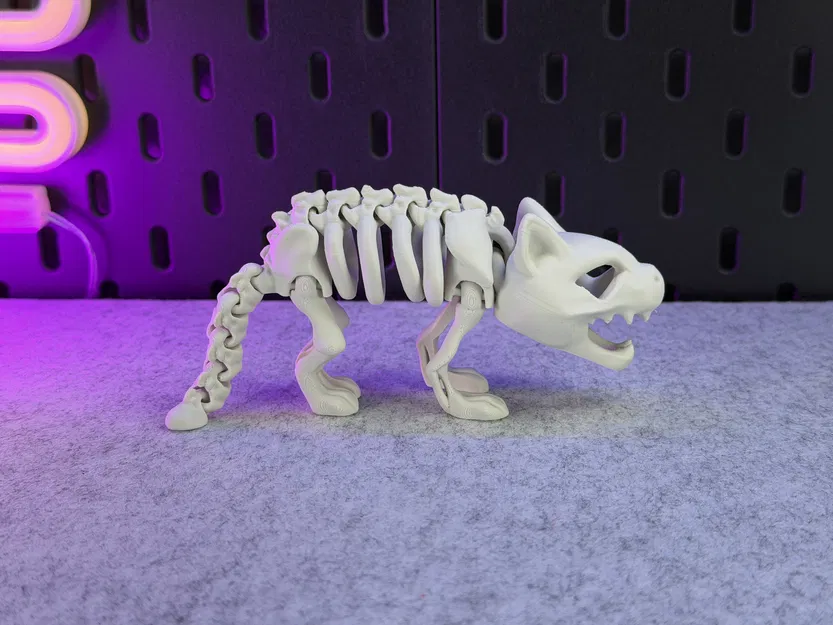 Mèo Bộ Xương Khớp Nối - Image 4