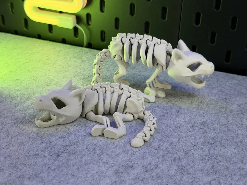 Mèo Bộ Xương Khớp Nối - Image 7