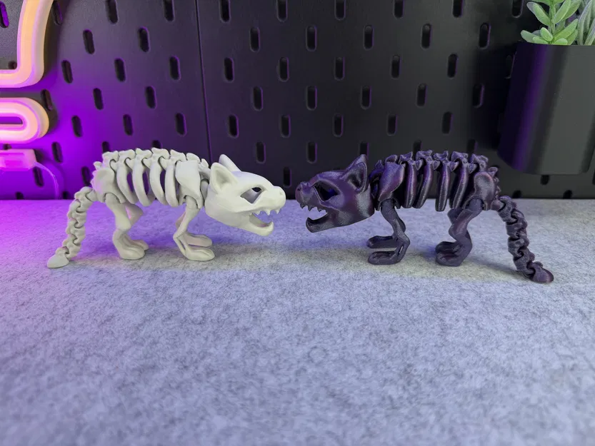 Mèo Bộ Xương Khớp Nối - Image 8