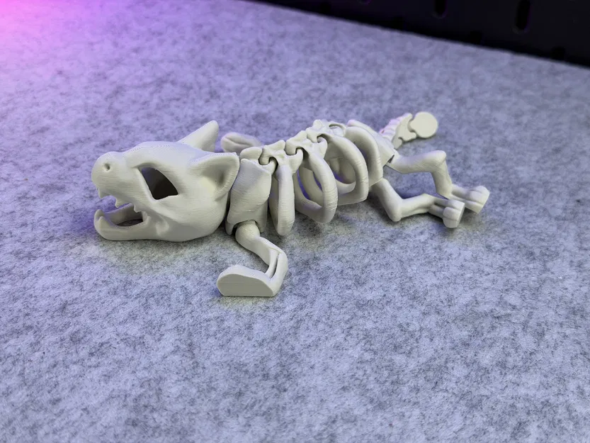 Mèo Bộ Xương Khớp Nối - Image 10