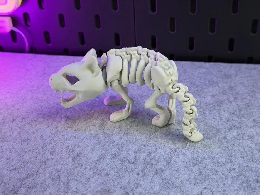 Mèo Bộ Xương Khớp Nối - Image 11