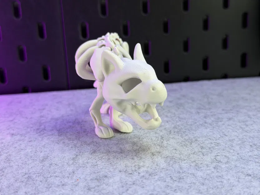 Mèo Bộ Xương Khớp Nối - Image 12