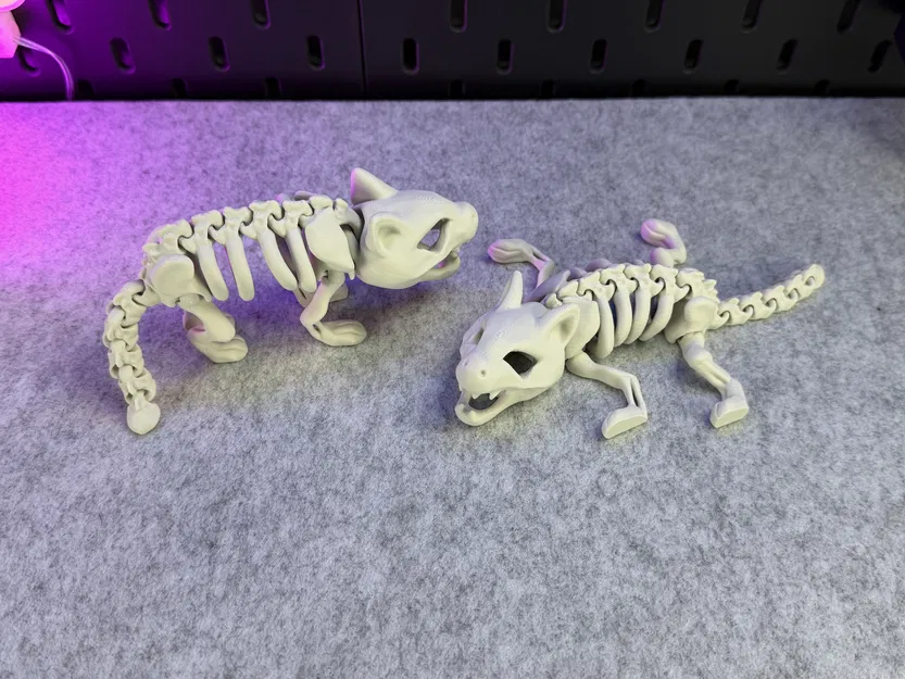 Mèo Bộ Xương Khớp Nối - Image 13