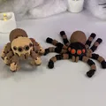 Flexi Spider 2 (Khớp nối) - Mẫu In 3D - Thumbnail 7
