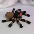 Flexi Spider 2 (Khớp nối) - Mẫu In 3D - Thumbnail 10