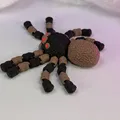 Flexi Spider 2 (Khớp nối) - Mẫu In 3D - Thumbnail 12