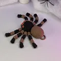 Flexi Spider 2 (Khớp nối) - Mẫu In 3D - Thumbnail 13