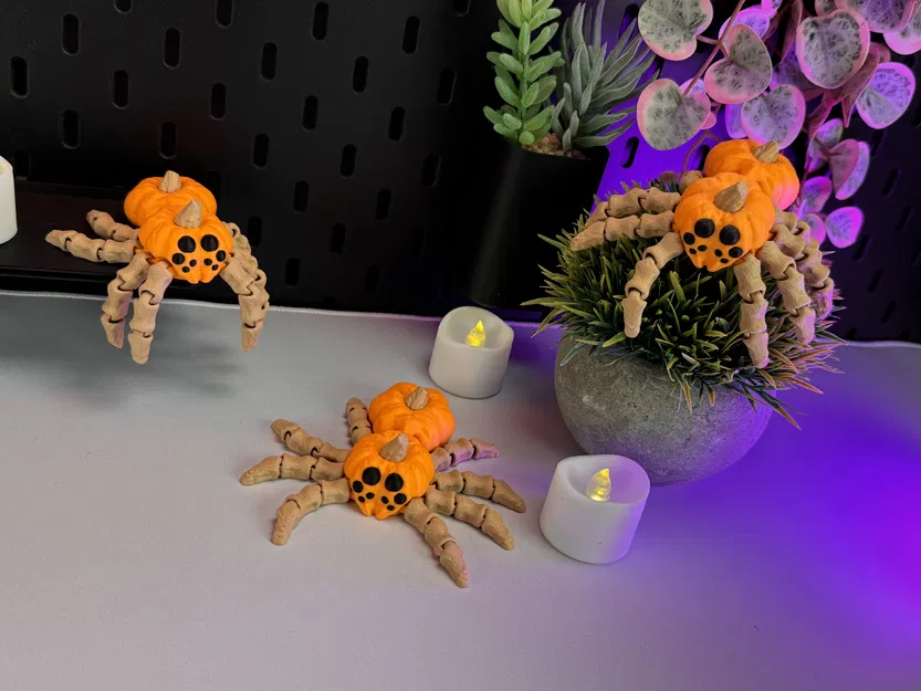 Nhện Bí Ngô Khớp Nối - Image 2