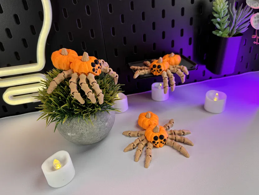 Nhện Bí Ngô Khớp Nối - Image 3