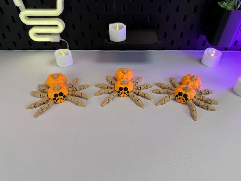 Nhện Bí Ngô Khớp Nối - Image 4