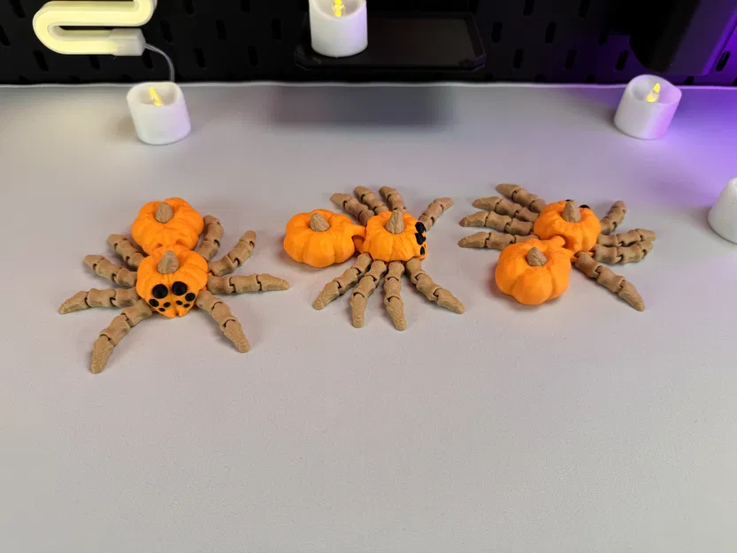 Nhện Bí Ngô Khớp Nối - Image 5