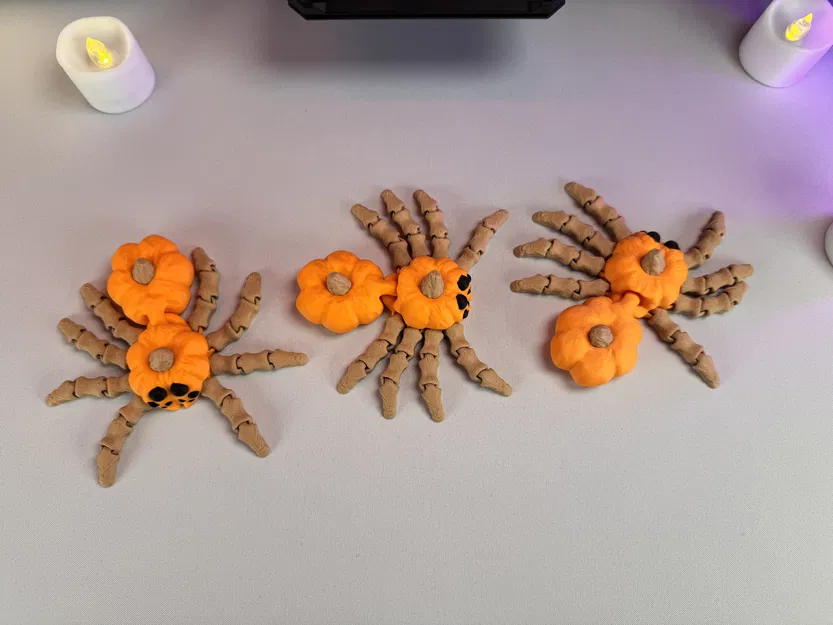 Nhện Bí Ngô Khớp Nối - Image 6