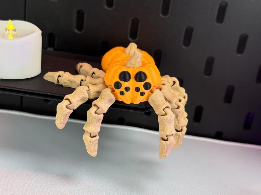 Nhện Bí Ngô Khớp Nối - Image 7