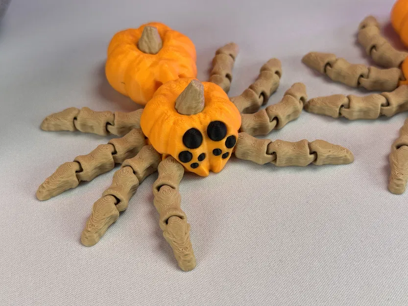 Nhện Bí Ngô Khớp Nối - Image 8