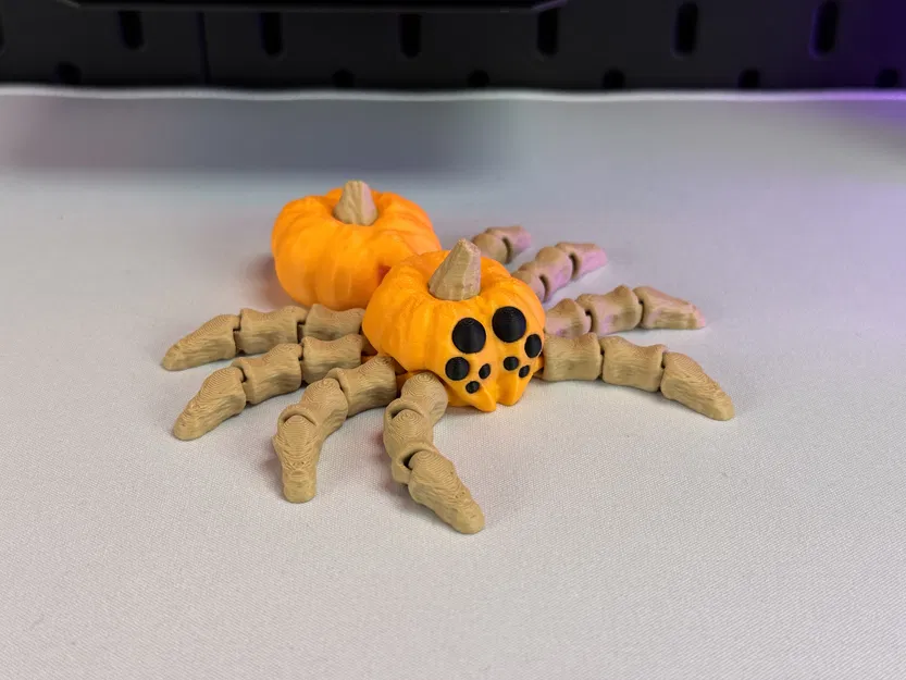 Nhện Bí Ngô Khớp Nối - Image 10