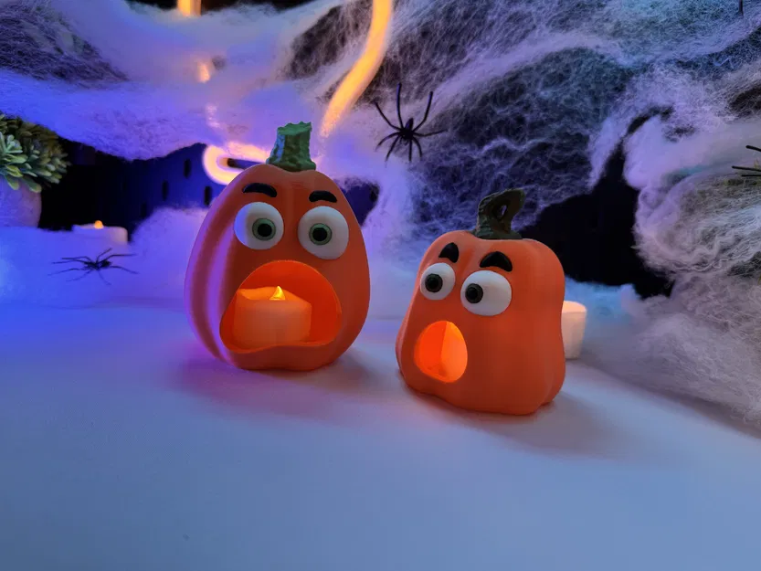 Trái Bí Ngô - Image 5