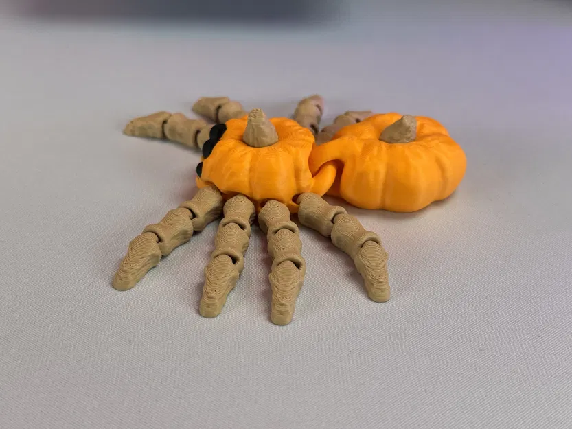 Nhện Bí Ngô Khớp Nối - Image 11