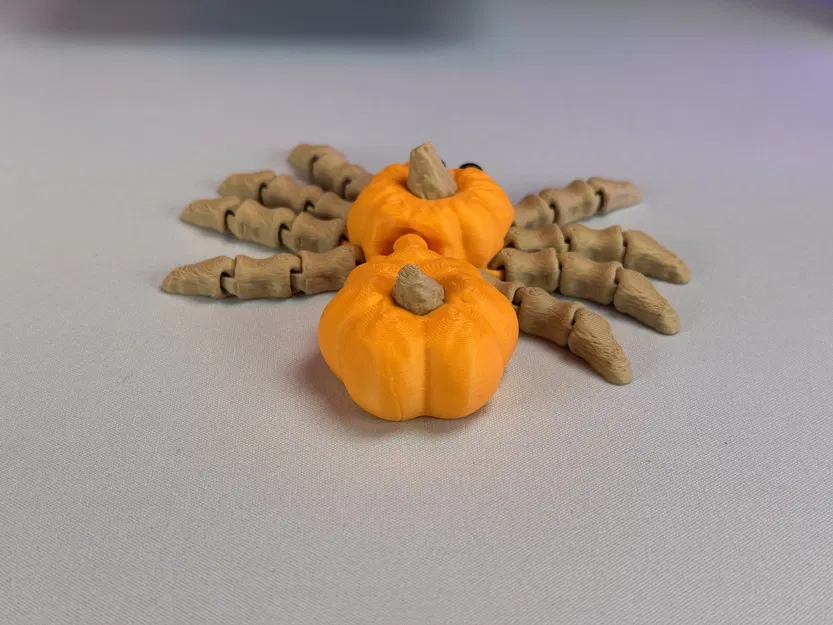 Nhện Bí Ngô Khớp Nối - Image 12